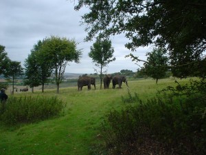 DSC01415